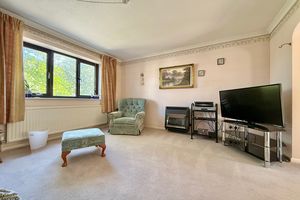 Lounge- click for photo gallery